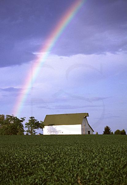 White Barn And Rainbow