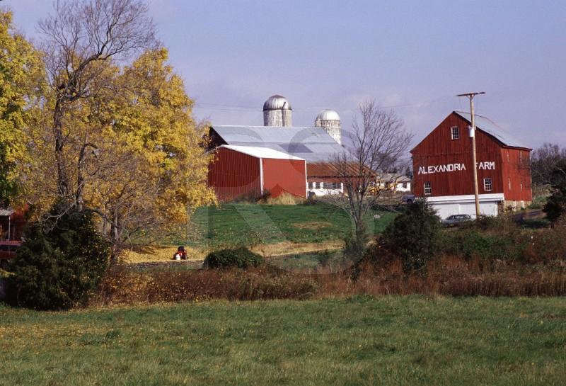 Alexandria Farm