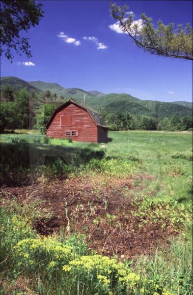 Red Barn
