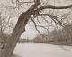 Spring Lake Pond And Footbridge, In Winter