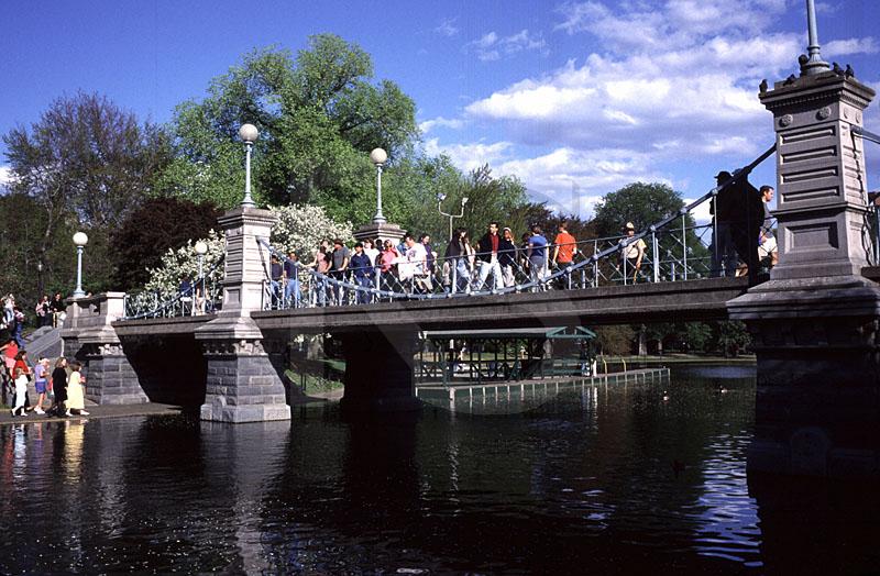 Public Garden Pedestrian Bridge And Lagoon