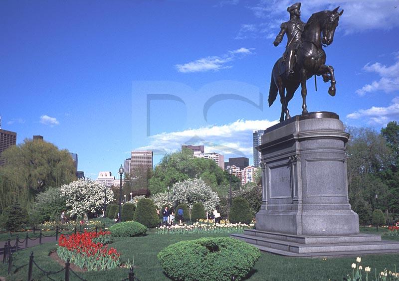 Public Garden 2, Boston Common