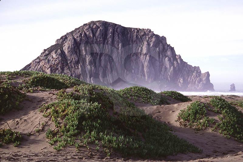 Morro Rock