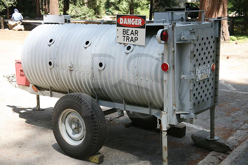 Bear Trap, Yosemite National Park