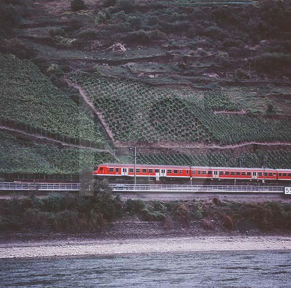 Vinyards, Train, and Rhine RIver