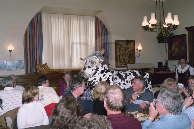 Holy Cow