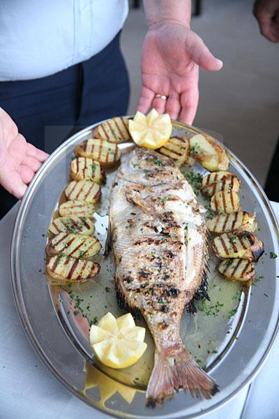 Grilled Fresh Fish 1