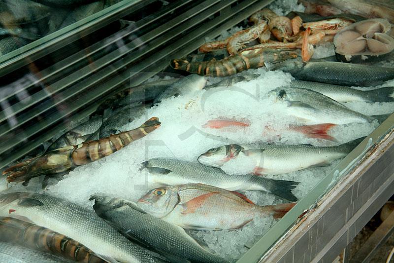 Fish On Ice