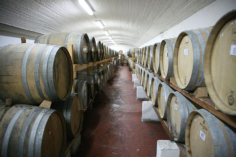 Santo Winery 3