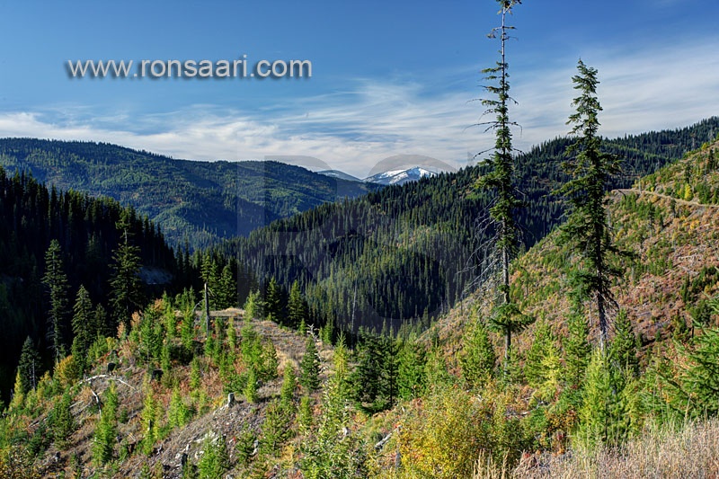 Clearwater National Forest