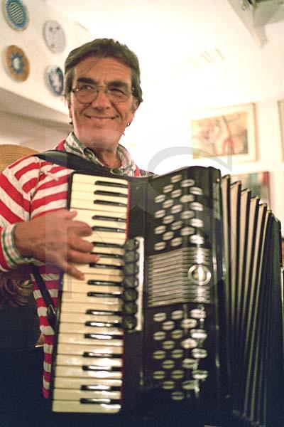 Accordionist