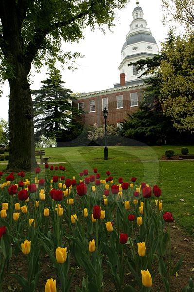 Marlyand State House 1