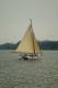 Skipjack Sailing