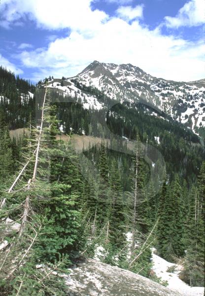 Olympic National Park, Hurricane Ridge