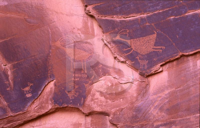 Monument Valley, Petroglyphs