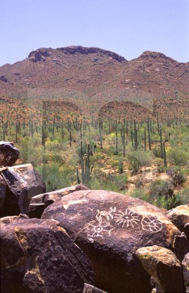 Keywords: Arizona,Tucson,National Park,Petroglyphs,Ancient,Writings,Natives 