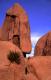 Joshua Tree National Park, Joshua Tree At Sunrise