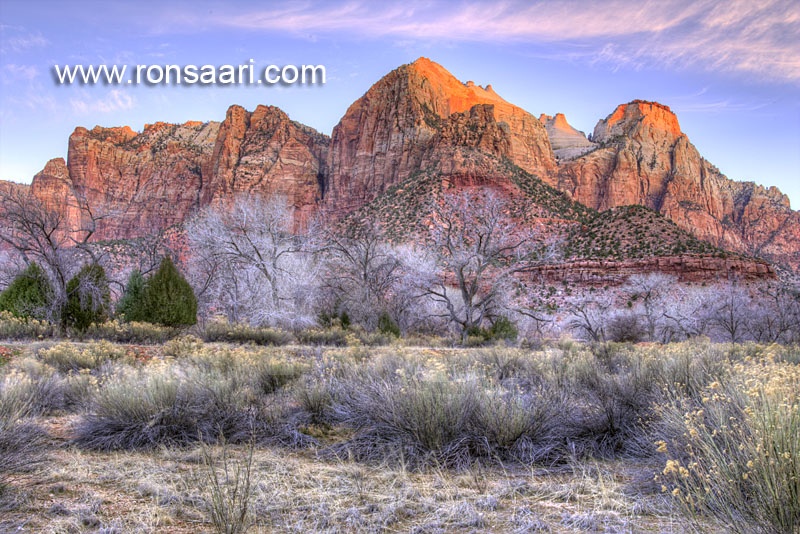 The Sentinel At Dawn, Zion National Park