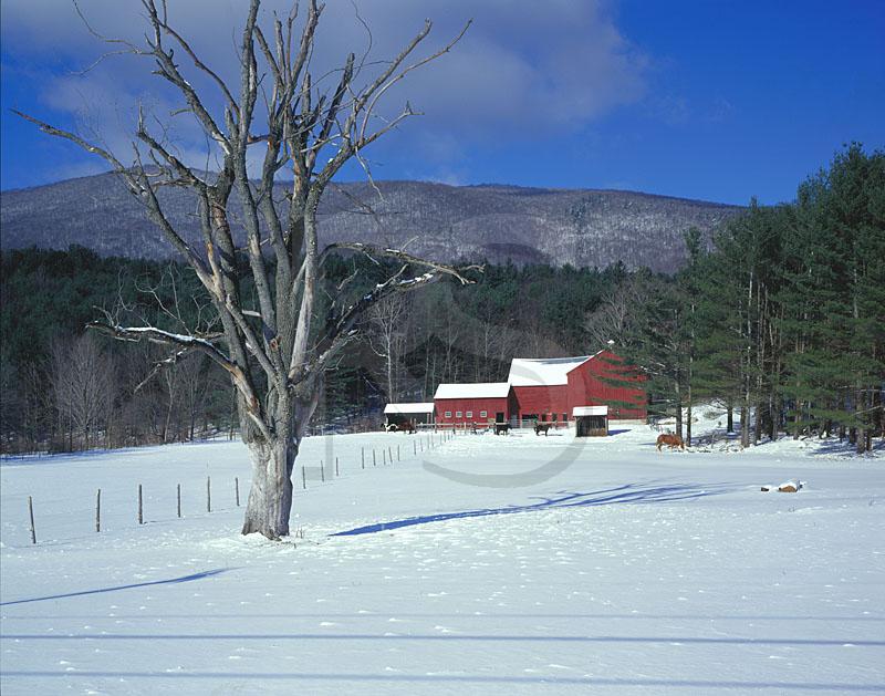 winter vermont