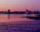 New Haven Skyline At Dusk