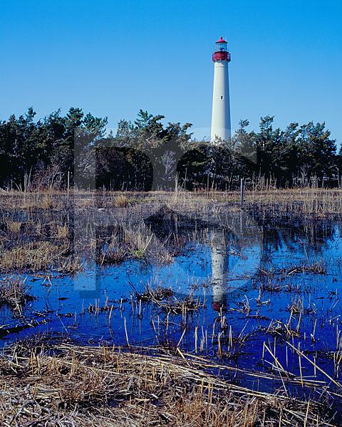 Cape May Lighthouse and Salt Marsh