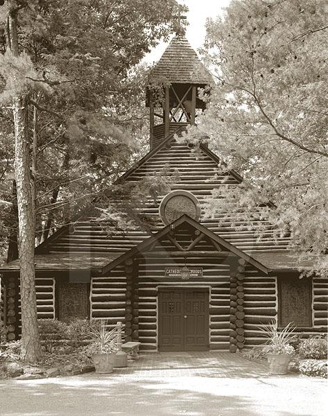 Cathedral Of The Woods