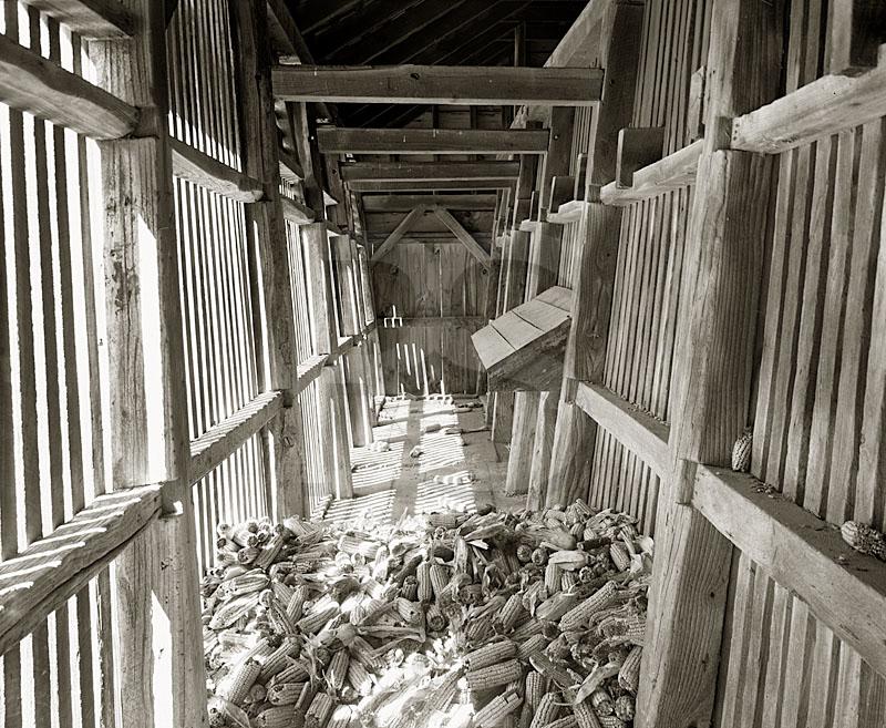 Corn Crib Interior, Longstreet Farm