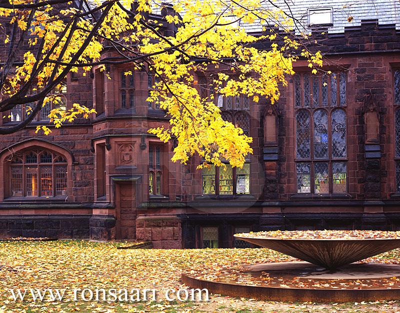 East Pyne Hall In Autumn
