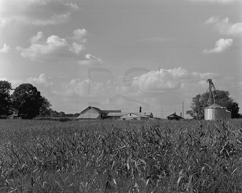 Farm On Gravel Hill Road,
