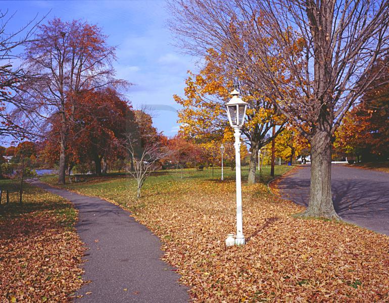 Franklin Lake Park, In Autumn