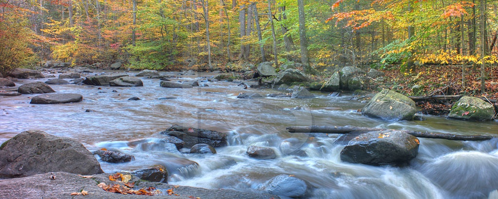Hacklebarney State Park, Black River In Autumn Panoramic