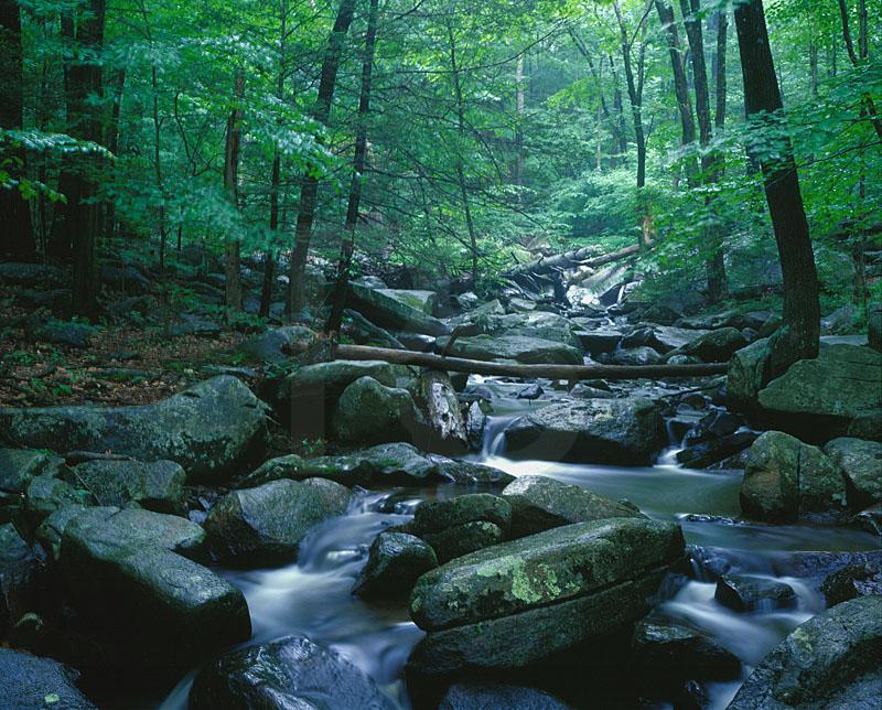 Trout Brook, Hacklebarney State Park