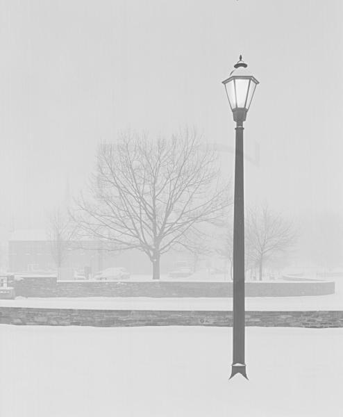 Lamp Post and Tree in Snowstorm