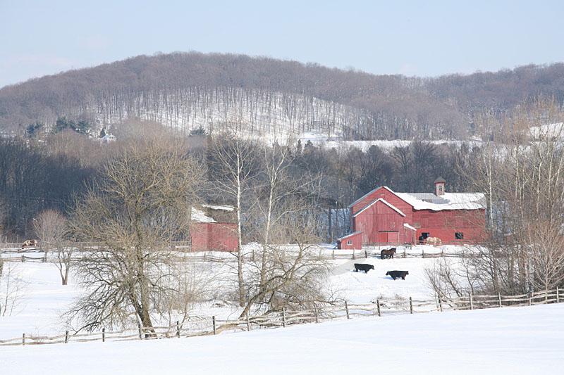 Howell Living History Farm, Winter 1