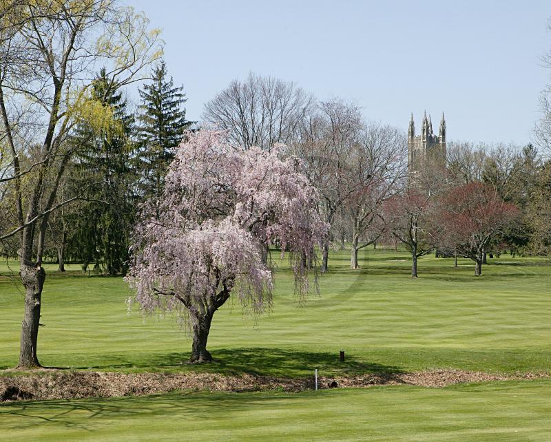 Springdale Golf Club