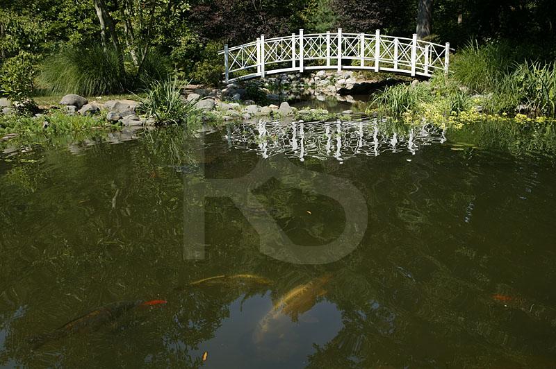 Sayen Gardens 1