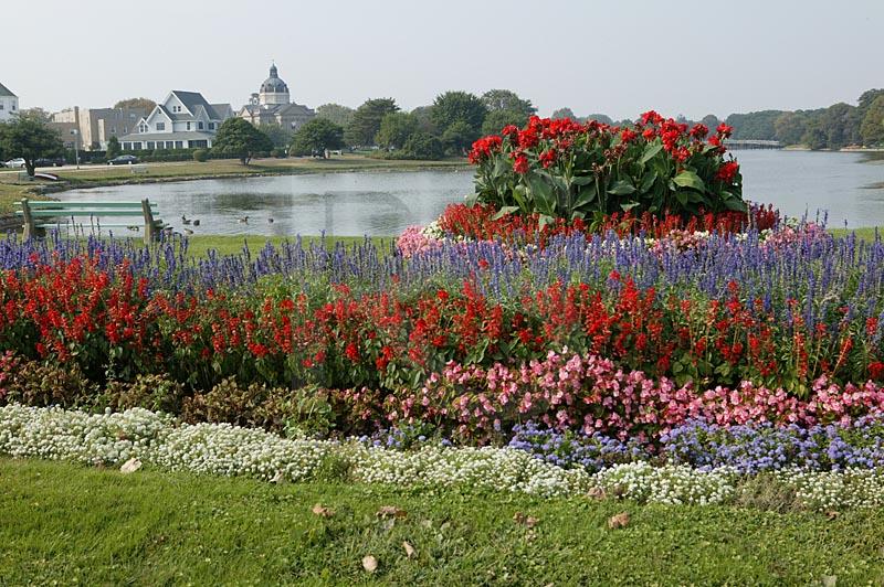 Flowers And Lake