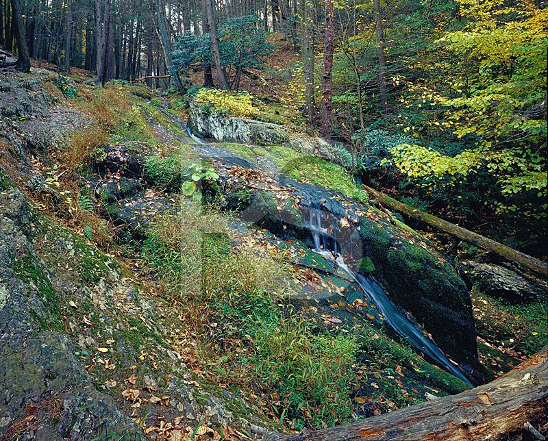 Tillman Ravine in Autumn