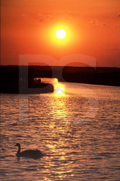 Edwin Forseythe, Wildlife Refuge