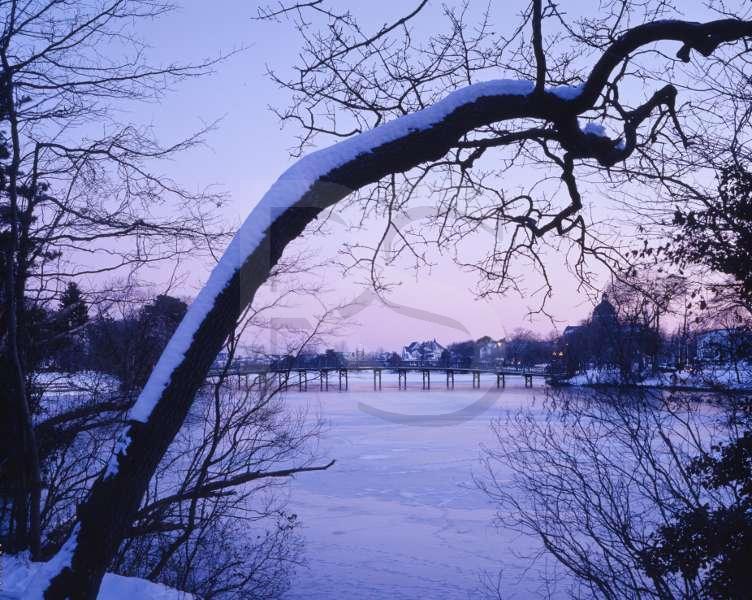 Spring Lake Pond, in Winter