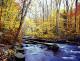 Black River In Autumn, Hacklebarney State Park