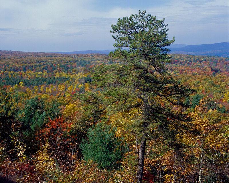 Shawangunk Mountains