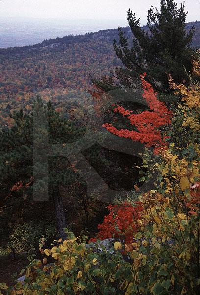 Fall Color From Lake Minnewaska Trail