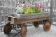 Antique Wagon And Flowers