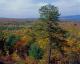 Shawangunk Mountains