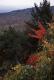 Fall Color From Lake Minnewaska Trail