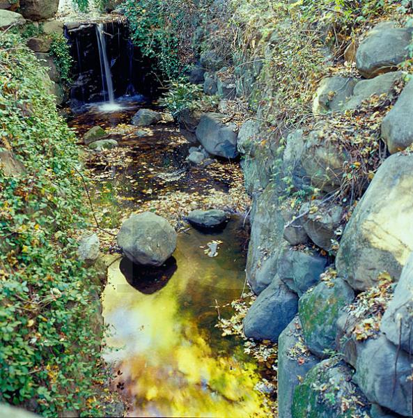 Ambergill Falls, Prospect Park