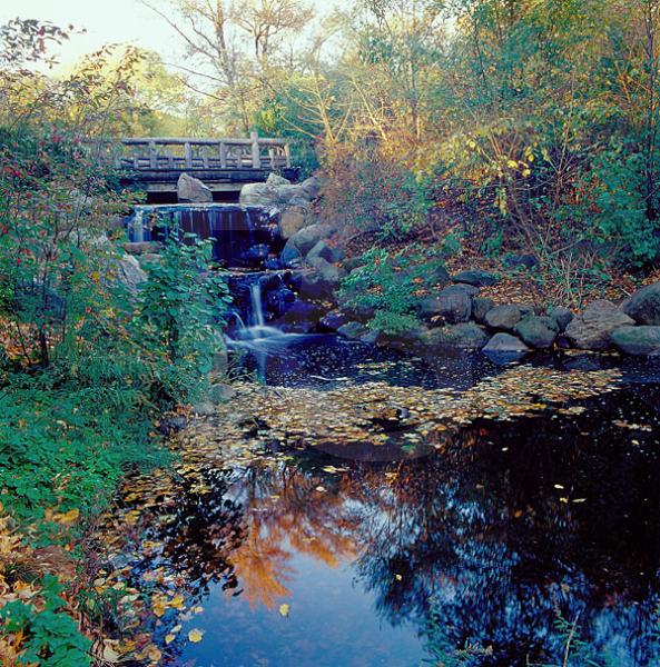 Binnen Falls 2, Prospect Park