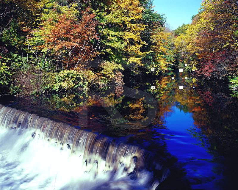 Bronx River Waterfall 1, New York Botanical Garden