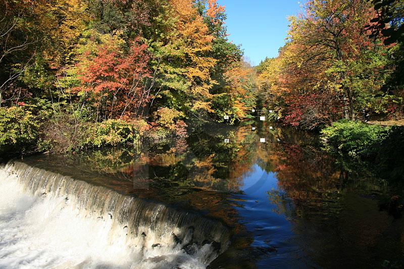 Bronx River Waterfall 2